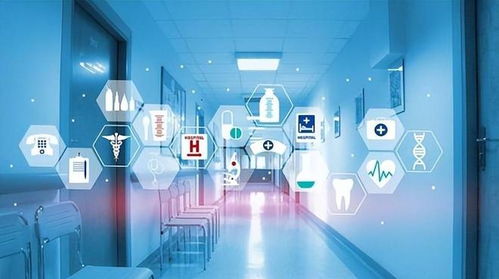 放开绝非躺平 苏州与上海引领智能科技发展新浪潮